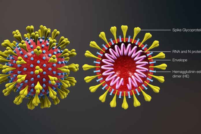 corona-virus-696x463