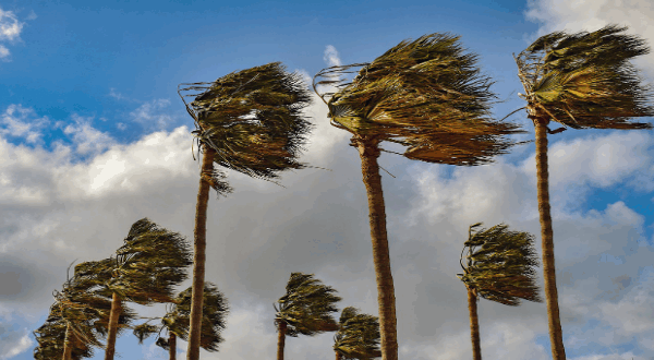 Les Vents…., par Monique Zetlaoui wind