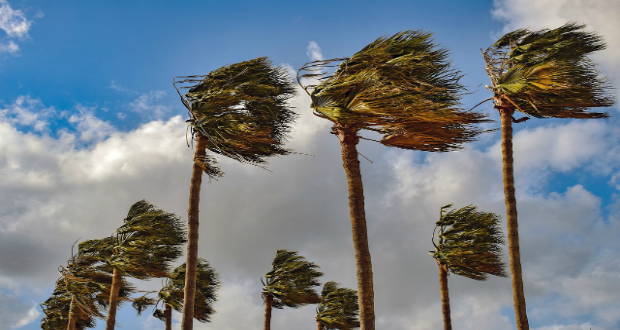 wind