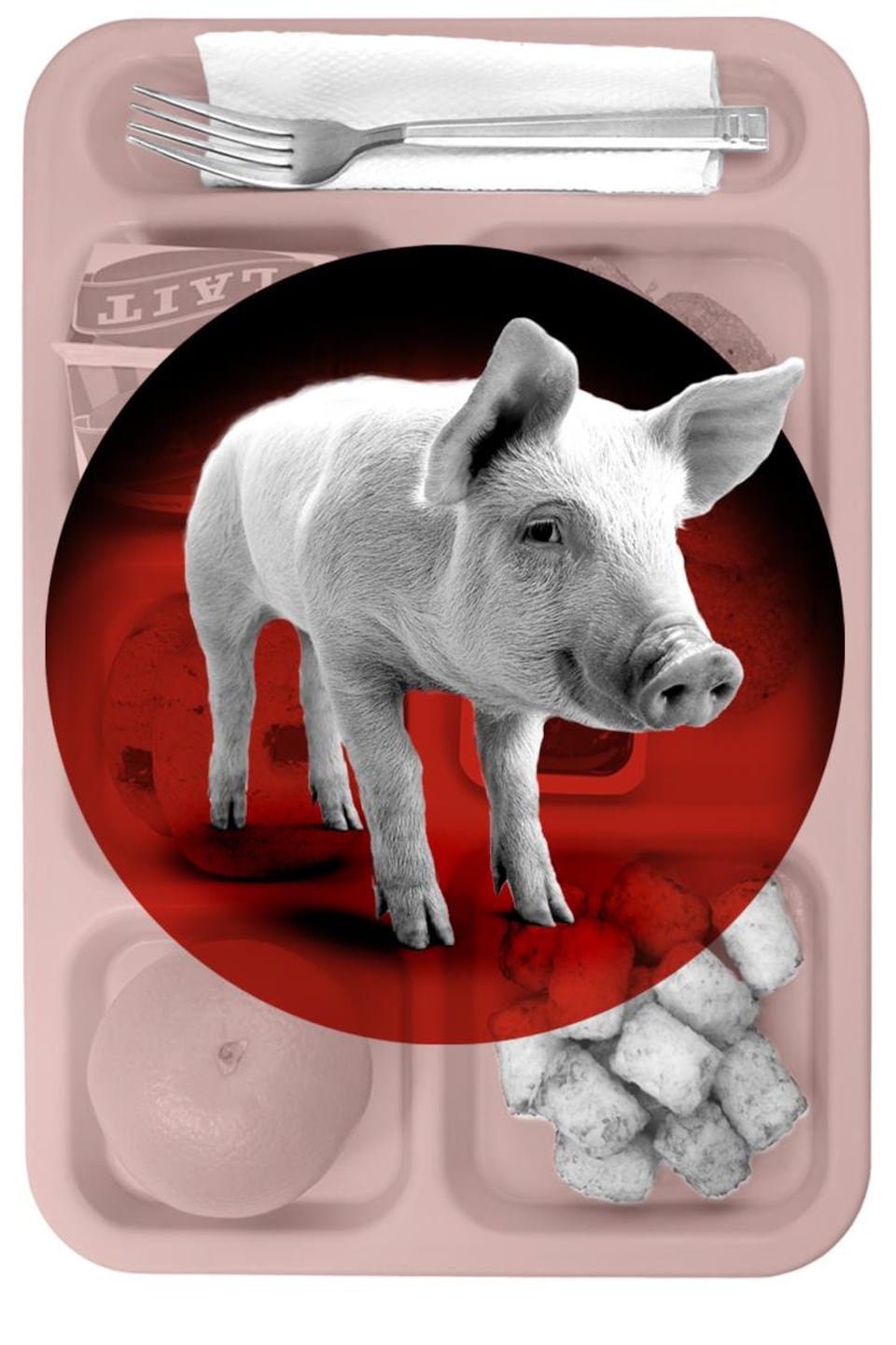 decrypteurs_porc-dorval
