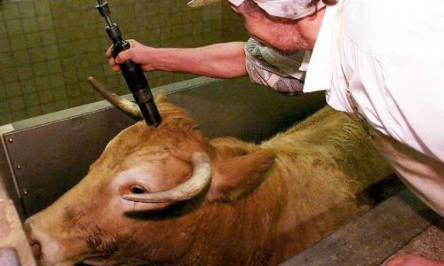 petition-img-41066-fr