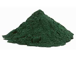 Spiruline-Wiki