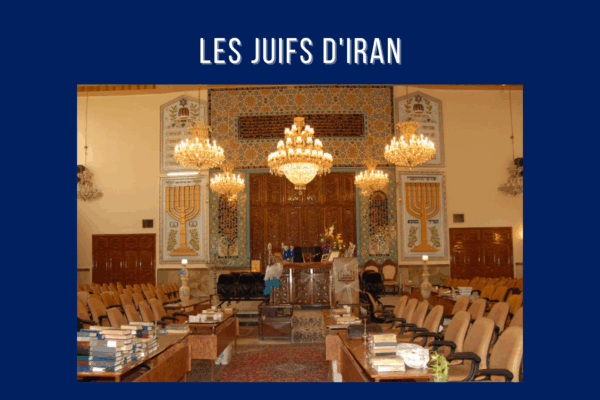 blog_du_crif_31