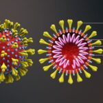 corona-virus-696x463