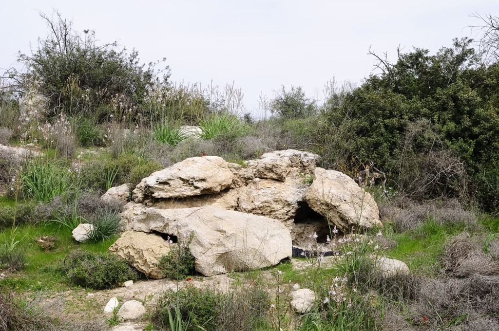 isra2