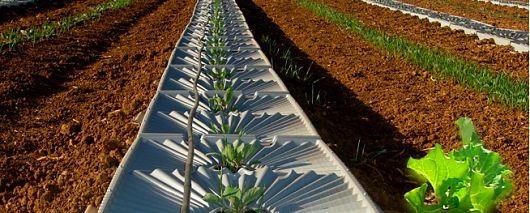 water_technology
