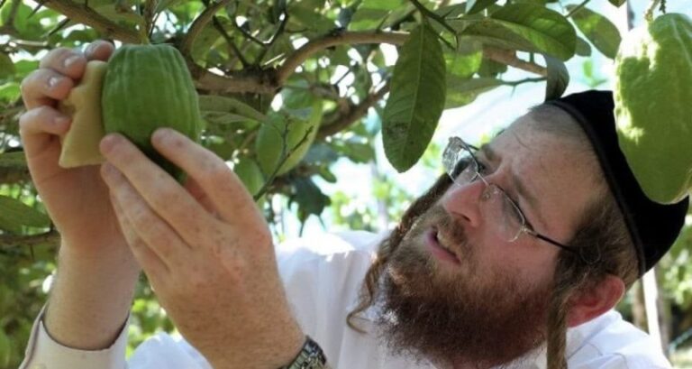 000_G73HU-e14755867106931-1024x640-1-e1665854521139