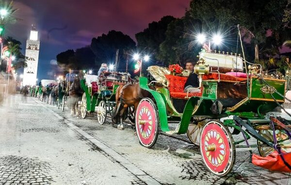 La calèche, un parfum de l’histoire dans les rues de Marrakech COP22_-_marrakech_novembre_2016__12_O02j4Ey-1-678x381