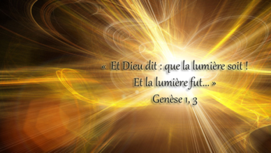 image-41