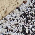 kohanim0