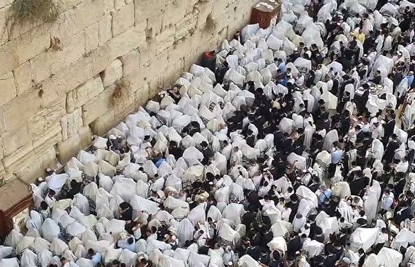 kohanim0