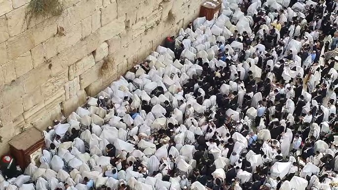 kohanim0
