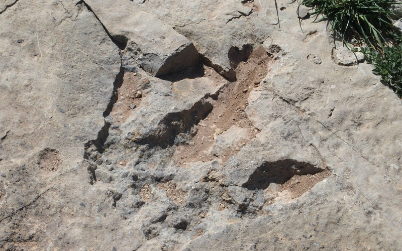 pas-dinosaures-maroc