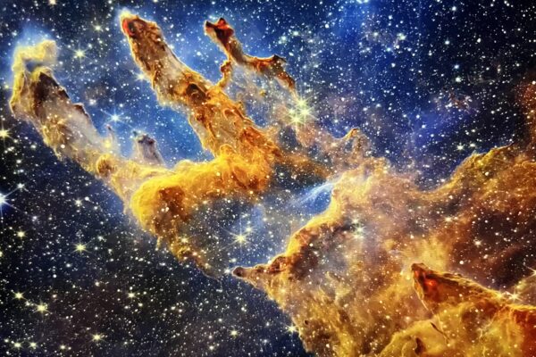 Vieillesse, Biologie, Univers ! Albert Danan IMG_7527