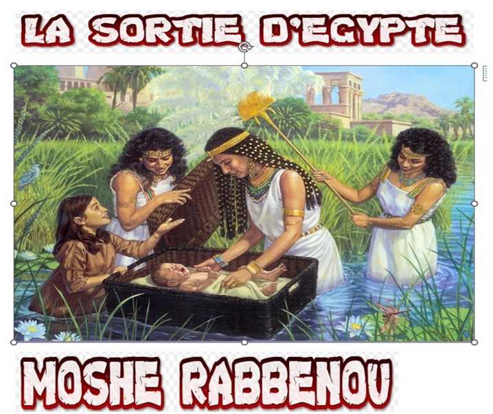 mochee1