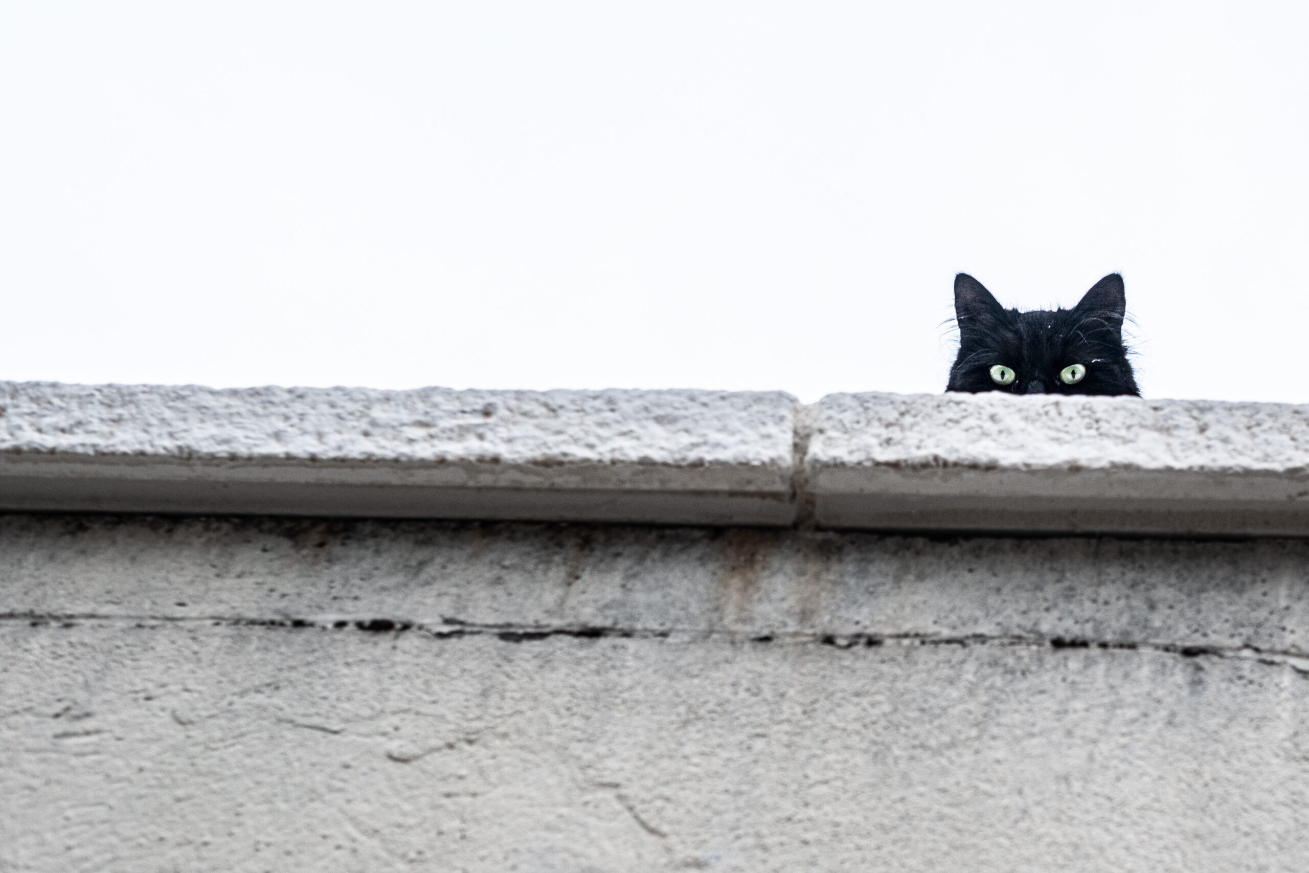 clement-falize-b9k_ltz079c-unsplash