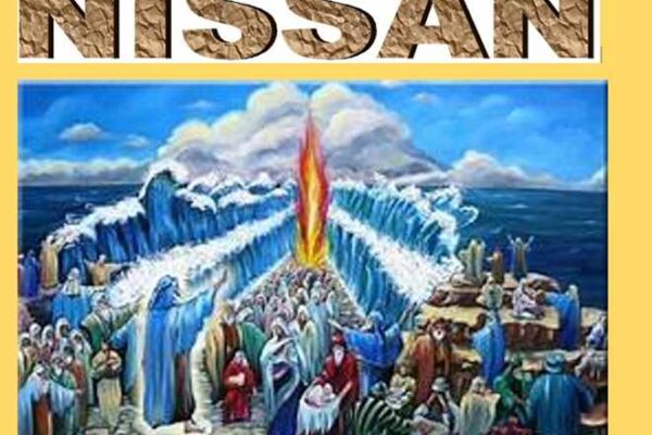 nissan2