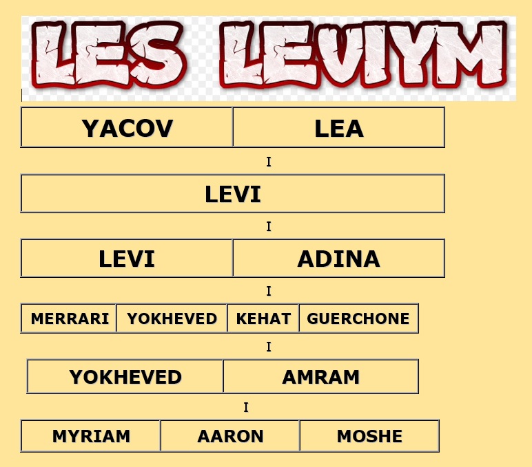 levy